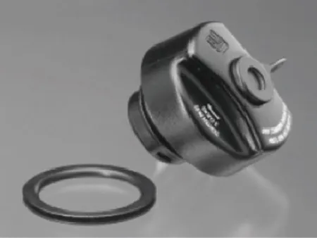 Fuel tank cap seal